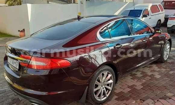 Nunua Ilio tumika Jaguar XF Nyeupe Gari ndani ya Beitbridge nchini Matabeleland Kusini Nunua Ilio tumika Jaguar XF Nyeupe Gari ndani ya Beitbridge nchini Matabeleland Kusini