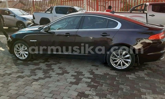 Nunua Ilio tumika Jaguar XF Nyeupe Gari ndani ya Beitbridge nchini Matabeleland Kusini Nunua Ilio tumika Jaguar XF Nyeupe Gari ndani ya Beitbridge nchini Matabeleland Kusini
