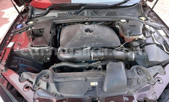 Nunua Ilio tumika Jaguar XF Nyeupe Gari ndani ya Beitbridge nchini Matabeleland Kusini Nunua Ilio tumika Jaguar XF Nyeupe Gari ndani ya Beitbridge nchini Matabeleland Kusini