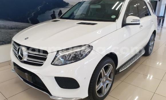 Tenga Tsaru Mercedes‒Benz AMG GLE Chena Mota in Beitbridge in Matabeleland South