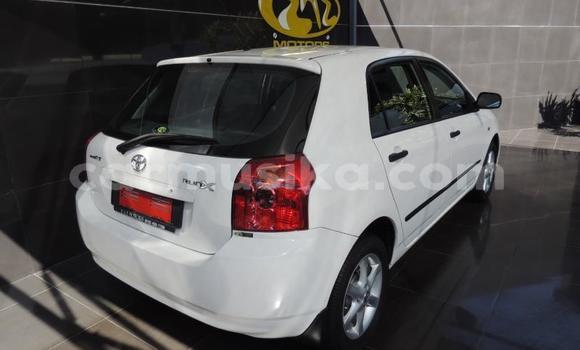 Acheter Occasion Voiture Toyota Runx Blanc à Beitbridge, Matabeleland South Acheter Occasion Voiture Toyota Runx Blanc à Beitbridge, Matabeleland South