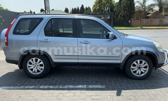 Tenga Tsaru Honda CR–V Bhuruu Mota in Beitbridge in Matabeleland South Tenga Tsaru Honda CR–V Bhuruu Mota in Beitbridge in Matabeleland South