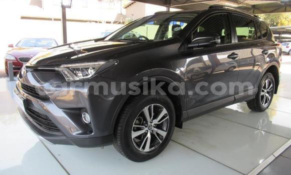 Acheter Occasion Voiture Toyota RAV4 Gris à Beitbridge, Matabeleland South