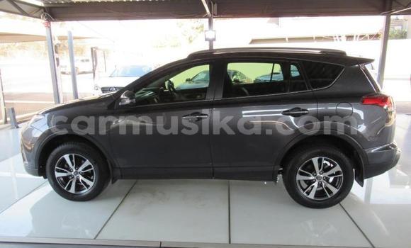 Acheter Occasion Voiture Toyota RAV4 Gris à Beitbridge, Matabeleland South Acheter Occasion Voiture Toyota RAV4 Gris à Beitbridge, Matabeleland South