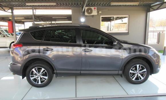 Acheter Occasion Voiture Toyota RAV4 Gris à Beitbridge, Matabeleland South Acheter Occasion Voiture Toyota RAV4 Gris à Beitbridge, Matabeleland South