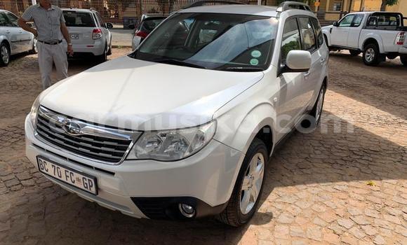 Buy Used Subaru Forester White Car in Beitbridge in Matabeleland South
