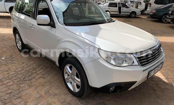 Tenga Tsaru Subaru Forester Chena Mota in Beitbridge in Matabeleland South Tenga Tsaru Subaru Forester Chena Mota in Beitbridge in Matabeleland South