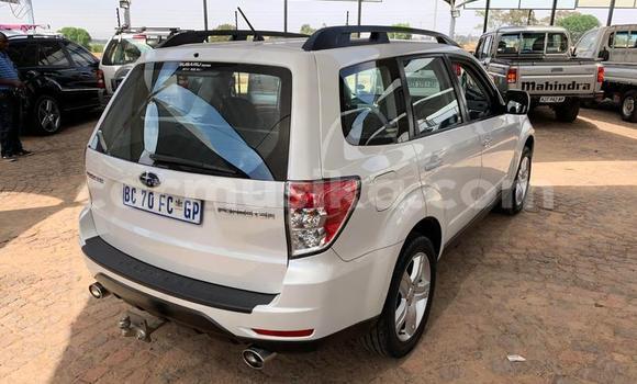 Tenga Tsaru Subaru Forester Chena Mota in Beitbridge in Matabeleland South Tenga Tsaru Subaru Forester Chena Mota in Beitbridge in Matabeleland South