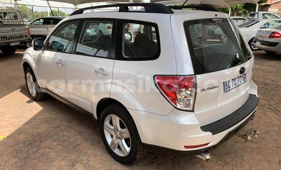 Tenga Tsaru Subaru Forester Chena Mota in Beitbridge in Matabeleland South Tenga Tsaru Subaru Forester Chena Mota in Beitbridge in Matabeleland South