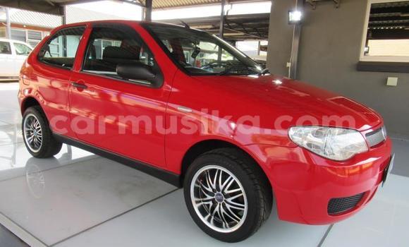 Tenga Tsaru Fiat 500L Tsvuku Mota in Beitbridge in Matabeleland South Tenga Tsaru Fiat 500L Tsvuku Mota in Beitbridge in Matabeleland South