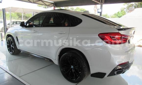 Tenga Tsaru BMW X6 Chena Mota in Beitbridge in Matabeleland South Tenga Tsaru BMW X6 Chena Mota in Beitbridge in Matabeleland South