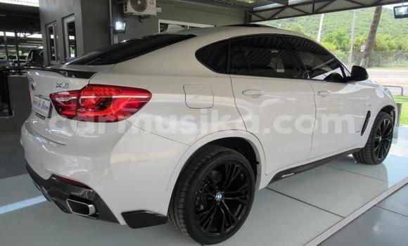 Tenga Tsaru BMW X6 Chena Mota in Beitbridge in Matabeleland South Tenga Tsaru BMW X6 Chena Mota in Beitbridge in Matabeleland South