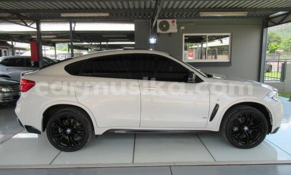 Tenga Tsaru BMW X6 Chena Mota in Beitbridge in Matabeleland South Tenga Tsaru BMW X6 Chena Mota in Beitbridge in Matabeleland South