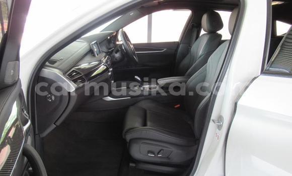 Tenga Tsaru BMW X6 Chena Mota in Beitbridge in Matabeleland South Tenga Tsaru BMW X6 Chena Mota in Beitbridge in Matabeleland South