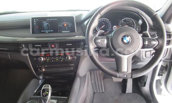 Tenga Tsaru BMW X6 Chena Mota in Beitbridge in Matabeleland South Tenga Tsaru BMW X6 Chena Mota in Beitbridge in Matabeleland South