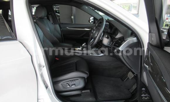 Tenga Tsaru BMW X6 Chena Mota in Beitbridge in Matabeleland South Tenga Tsaru BMW X6 Chena Mota in Beitbridge in Matabeleland South