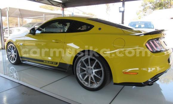 Acheter Occasion Voiture Ford Cougar Autre à Beitbridge, Matabeleland South Acheter Occasion Voiture Ford Cougar Autre à Beitbridge, Matabeleland South