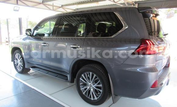 Acheter Occasion Voiture Lexus RX Gris à Beitbridge, Matabeleland South Acheter Occasion Voiture Lexus RX Gris à Beitbridge, Matabeleland South