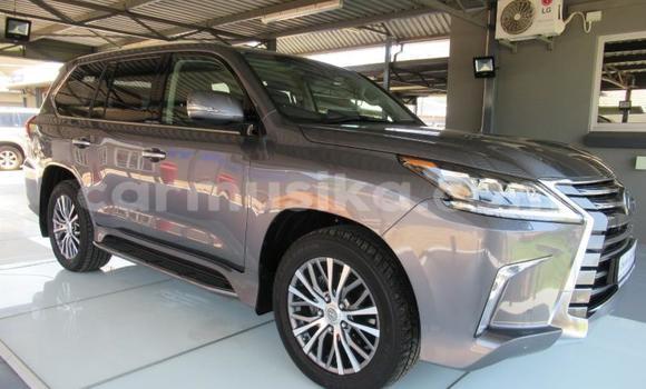 Acheter Occasion Voiture Lexus RX Gris à Beitbridge, Matabeleland South Acheter Occasion Voiture Lexus RX Gris à Beitbridge, Matabeleland South