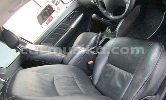 Tenga Tsaru Toyota Hilux Chena Mota in Beitbridge in Matabeleland South Tenga Tsaru Toyota Hilux Chena Mota in Beitbridge in Matabeleland South