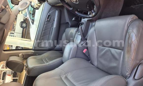 Buy Used Toyota Hilux White Car in Harare in Harare Buy Used Toyota Hilux White Car in Harare in Harare