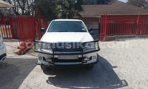 Tenga Tsaru Toyota Hilux Chena Mota in Harare in Harare Tenga Tsaru Toyota Hilux Chena Mota in Harare in Harare