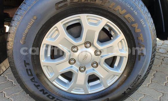 Tenga Tsaru Ford Ranger Chena Mota in Harare in Harare Tenga Tsaru Ford Ranger Chena Mota in Harare in Harare