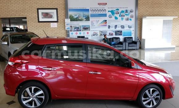 Buy Used Toyota Yaris Red Car in Harare in Harare Buy Used Toyota Yaris Red Car in Harare in Harare