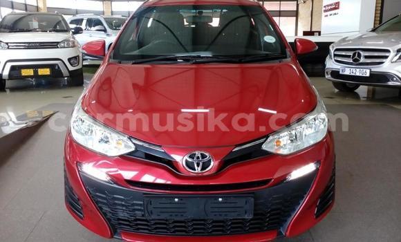 Buy Used Toyota Yaris Red Car in Harare in Harare Buy Used Toyota Yaris Red Car in Harare in Harare