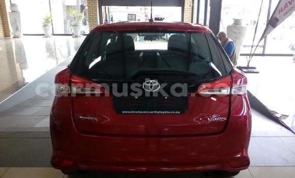 Buy Used Toyota Yaris Red Car in Harare in Harare Buy Used Toyota Yaris Red Car in Harare in Harare