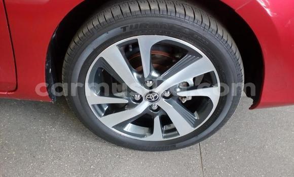 Buy Used Toyota Yaris Red Car in Harare in Harare Buy Used Toyota Yaris Red Car in Harare in Harare