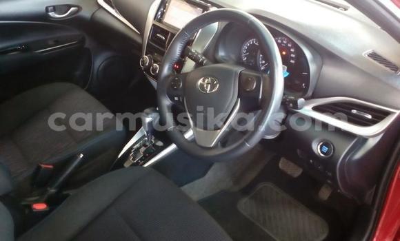 Buy Used Toyota Yaris Red Car in Harare in Harare Buy Used Toyota Yaris Red Car in Harare in Harare