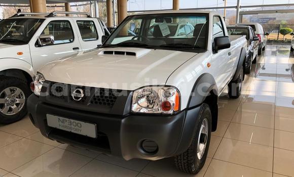 Buy Used Nissan NP 300 White Car in Harare in Harare