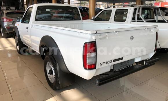 Buy Used Nissan NP 300 White Car in Harare in Harare Buy Used Nissan NP 300 White Car in Harare in Harare