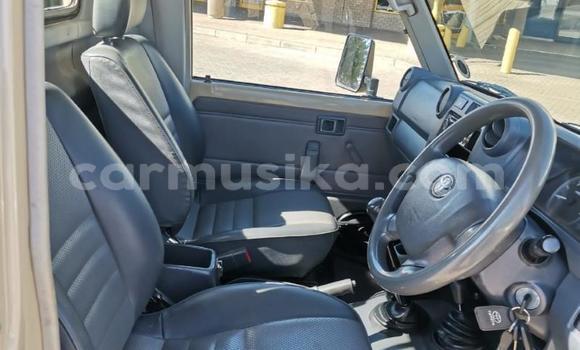 Tenga Tsaru Toyota Land Cruiser Zvimwe Mota in Harare in Harare Tenga Tsaru Toyota Land Cruiser Zvimwe Mota in Harare in Harare