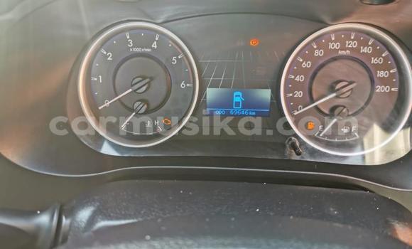 Tenga Tsaru Toyota Hilux Chena Mota in Harare in Harare Tenga Tsaru Toyota Hilux Chena Mota in Harare in Harare