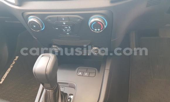 Tenga Tsaru Ford Ranger Chena Mota in Harare in Harare Tenga Tsaru Ford Ranger Chena Mota in Harare in Harare