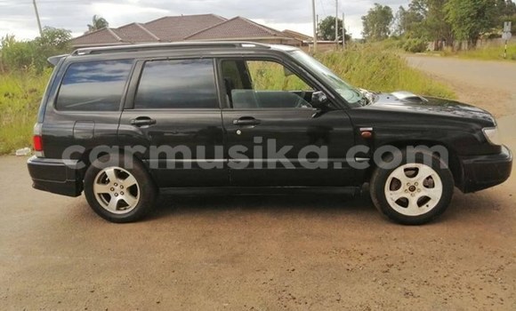 Nunua Ilio tumika Subaru Forester Nyeusi Gari ndani ya Harare nchini Harare