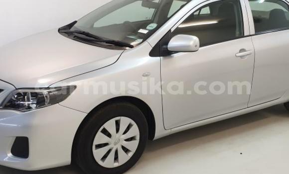 Tenga Tsaru Toyota Corolla Sirivha Mota in Beitbridge in Matabeleland South