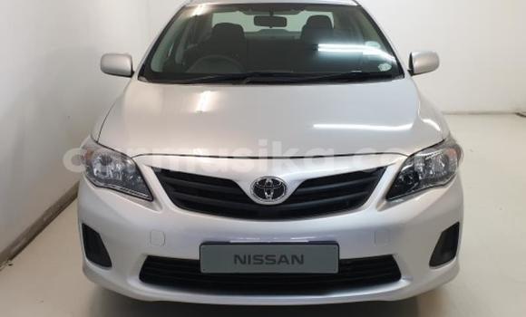 Acheter Occasion Voiture Toyota Corolla Gris à Beitbridge, Matabeleland South Acheter Occasion Voiture Toyota Corolla Gris à Beitbridge, Matabeleland South