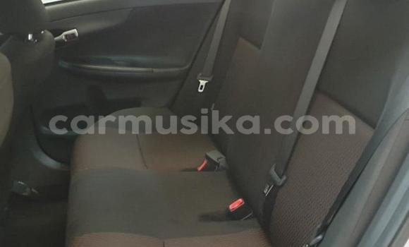 Acheter Occasion Voiture Toyota Corolla Gris à Beitbridge, Matabeleland South Acheter Occasion Voiture Toyota Corolla Gris à Beitbridge, Matabeleland South