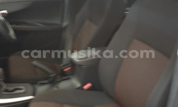 Acheter Occasion Voiture Toyota Corolla Gris à Beitbridge, Matabeleland South Acheter Occasion Voiture Toyota Corolla Gris à Beitbridge, Matabeleland South