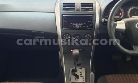 Acheter Occasion Voiture Toyota Corolla Gris à Beitbridge, Matabeleland South Acheter Occasion Voiture Toyota Corolla Gris à Beitbridge, Matabeleland South