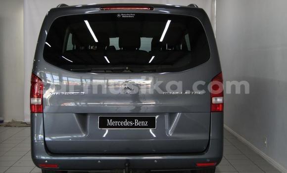Acheter Occasion Voiture Mercedes‒Benz Vito Gris à Beitbridge, Matabeleland South Acheter Occasion Voiture Mercedes‒Benz Vito Gris à Beitbridge, Matabeleland South