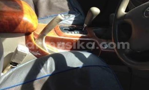 Tenga Tsaru Toyota Hilux Bhuruu Mota in Harare in Harare Tenga Tsaru Toyota Hilux Bhuruu Mota in Harare in Harare