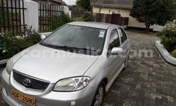 Tenga Tsaru Toyota Vios Sirivha Mota in Harare in Harare Tenga Tsaru Toyota Vios Sirivha Mota in Harare in Harare