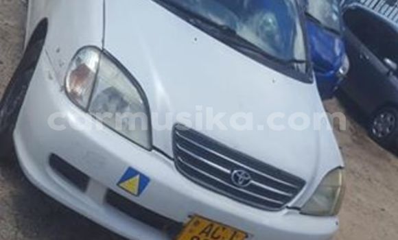 Tenga Tsaru Toyota Nadia Chena Mota in Harare in Harare Tenga Tsaru Toyota Nadia Chena Mota in Harare in Harare
