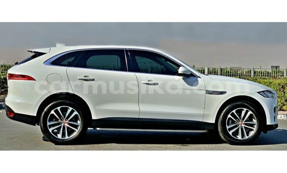 Acheter Import Voiture Jaguar F-Pace Blanc à Import - Dubai, Harare Acheter Import Voiture Jaguar F-Pace Blanc à Import - Dubai, Harare