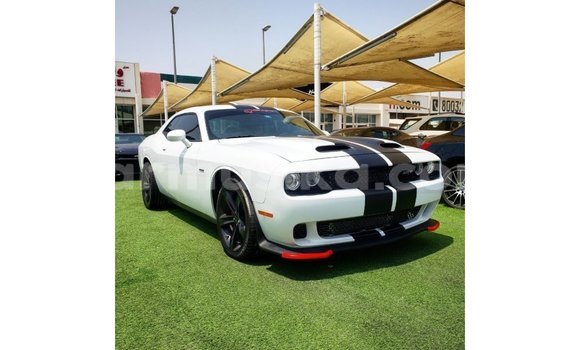Nunua Imported Dodge Challenger Nyeupe Gari ndani ya Import - Dubai nchini Harare