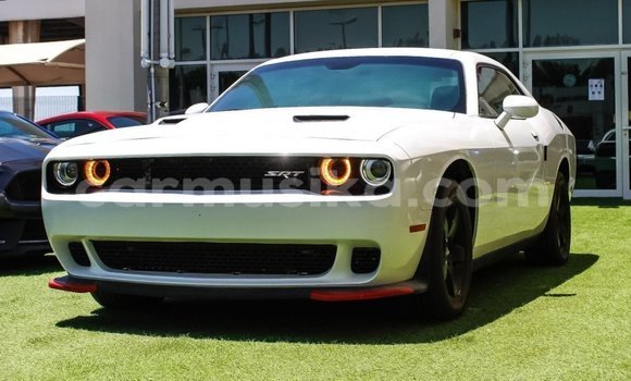 Nunua Imported Dodge Challenger Nyeupe Gari ndani ya Import - Dubai nchini Harare